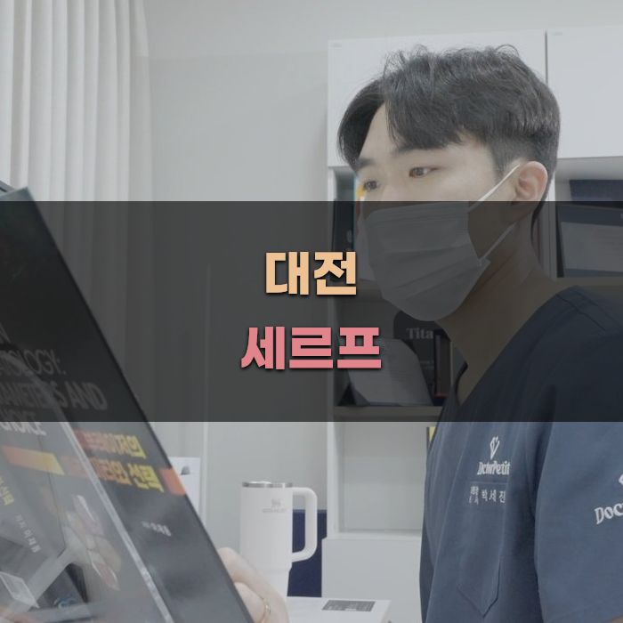 대전 세르프의 주요 서비스 안내